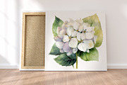 White flower. Watercolor clipart col, a Decorative Illustration by ElenazlataArt (Thumbnail 6 of 9)