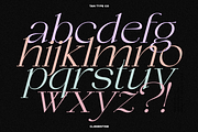 TAN - CLEMENTINE, a Serif Font by TanType (Thumbnail 6 of 20)