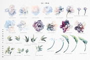 WATERCOLOR BUNDLE Peonies & Roses, an Illustration by ollalya (Thumbnail 85 of 101)