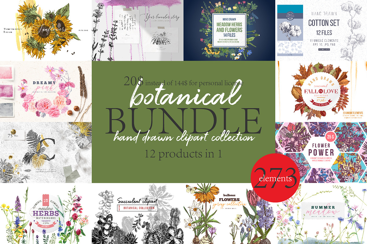 Hand drawn botanical bundle, an Illustration by handsketched (Photo 1 of 24)