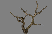 Dead_Tree_2, an Environmental 3D Model by 2dawngames (Thumbnail 2 of 3)