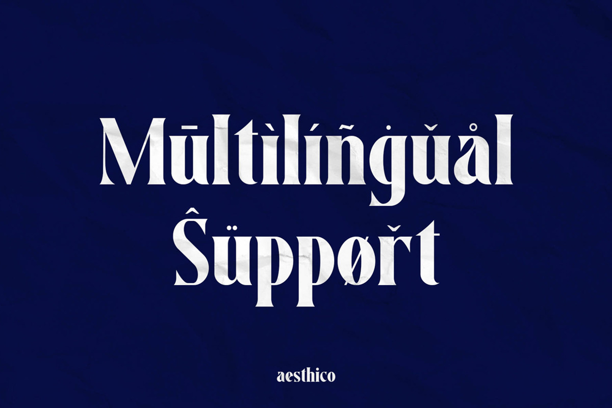 Aesthico Serif Font Family (6 Fonts), a Serif Font by Heinzel Std (Photo 14 of 21)