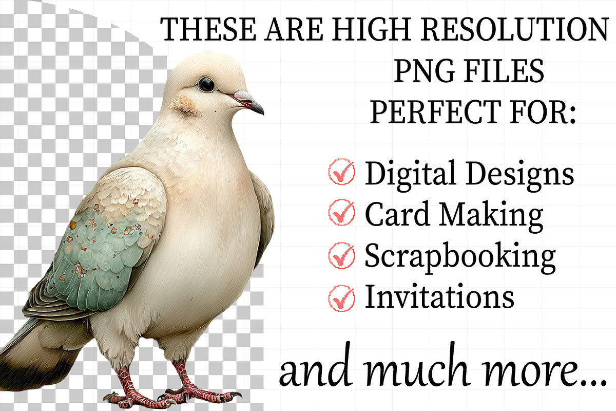 Creation Dove Clipart, an Illustration by Daily.Designs (Photo 2 of 7)