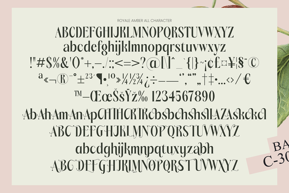 Royale Ambers Editorial Serif, a Serif Font by timelesstype.co (Photo 10 of 10)