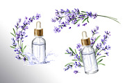 Lavender Mood, a Decorative Illustration by Daria Ustiugova (Thumbnail 10 of 14)