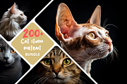 200+ Cat studio portrait Bundle, an Animal Photo by Virgo Studio (Thumbnail 1 of 6)