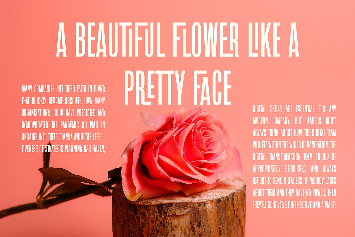Roles Update!! Ligature Sans Serif, a Sans Serif Font by Perfectype (Photo 4 of 18)