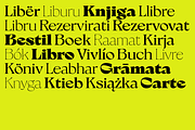 Milanesa Serif, a Font by Sudtipos (Thumbnail 3 of 7)