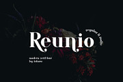 ARK Reunio - Modern Serif Font, a Serif Font by Arkara (Thumbnail 1 of 11)