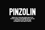 Pinzolin Font, a Sans Serif Font by albert_kalingga (Thumbnail 5 of 6)
