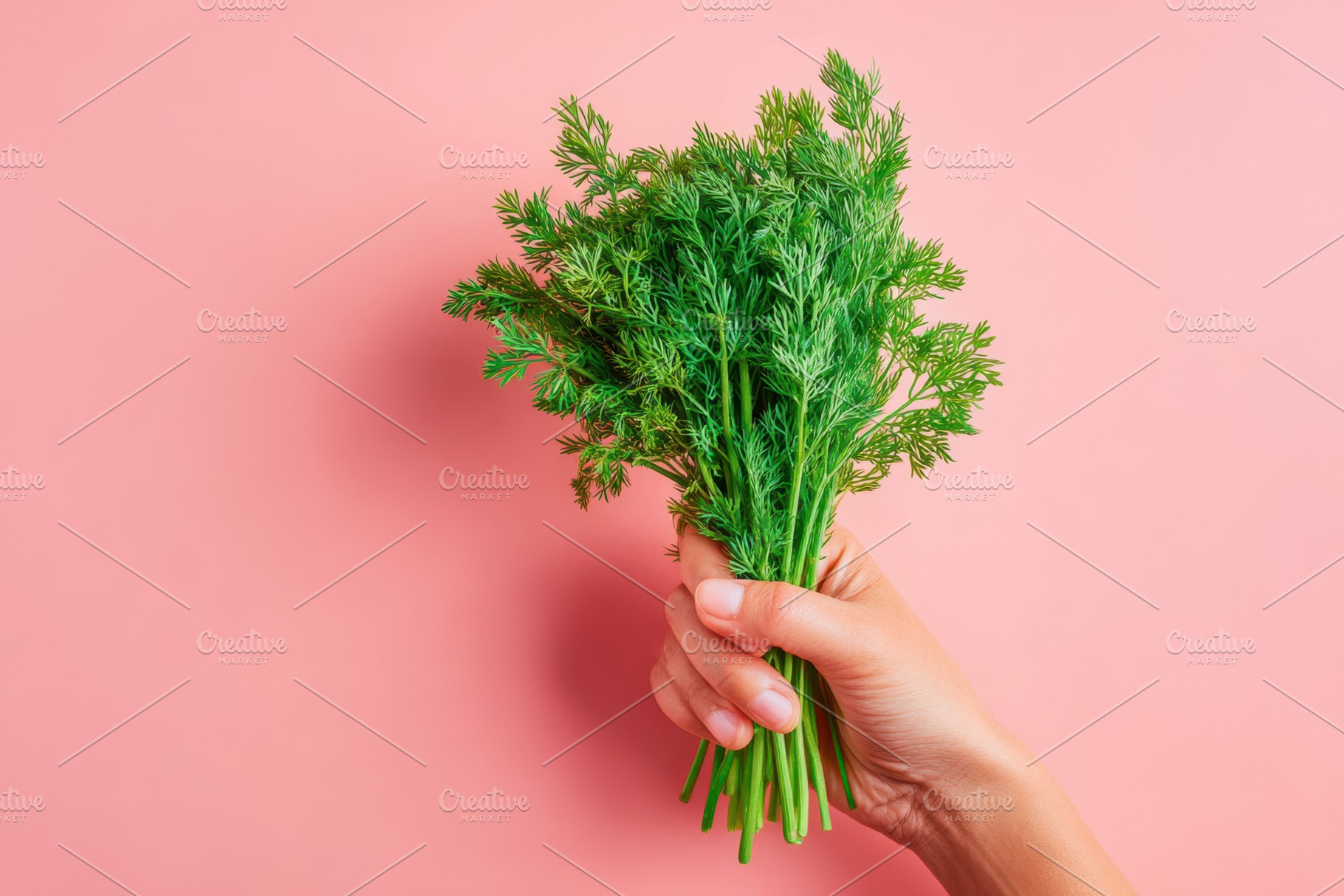 Fresh dill herbs in hand, a Food & Drink Photo by AlyaAnd