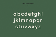 Stark Rounded - A Modern Sans Serif, a Sans Serif Font by Cassandra Cappello (Thumbnail 5 of 9)