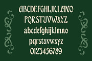 ED Bushland - Unique Display Serif, a Serif Font by Emyself Design (Thumbnail 2 of 10)