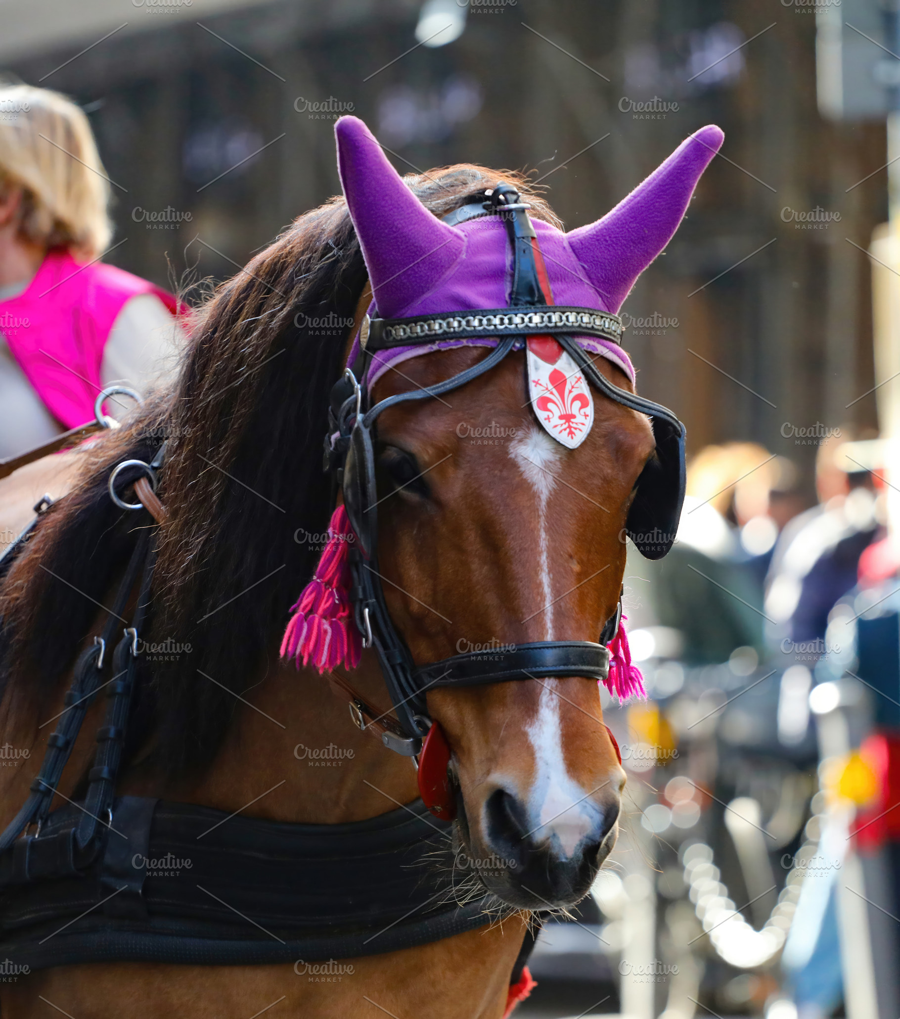Horse wearing traditional florentine headdress waiting for tourists in Florence, an Architecture Photo by Antonio Gravante Market