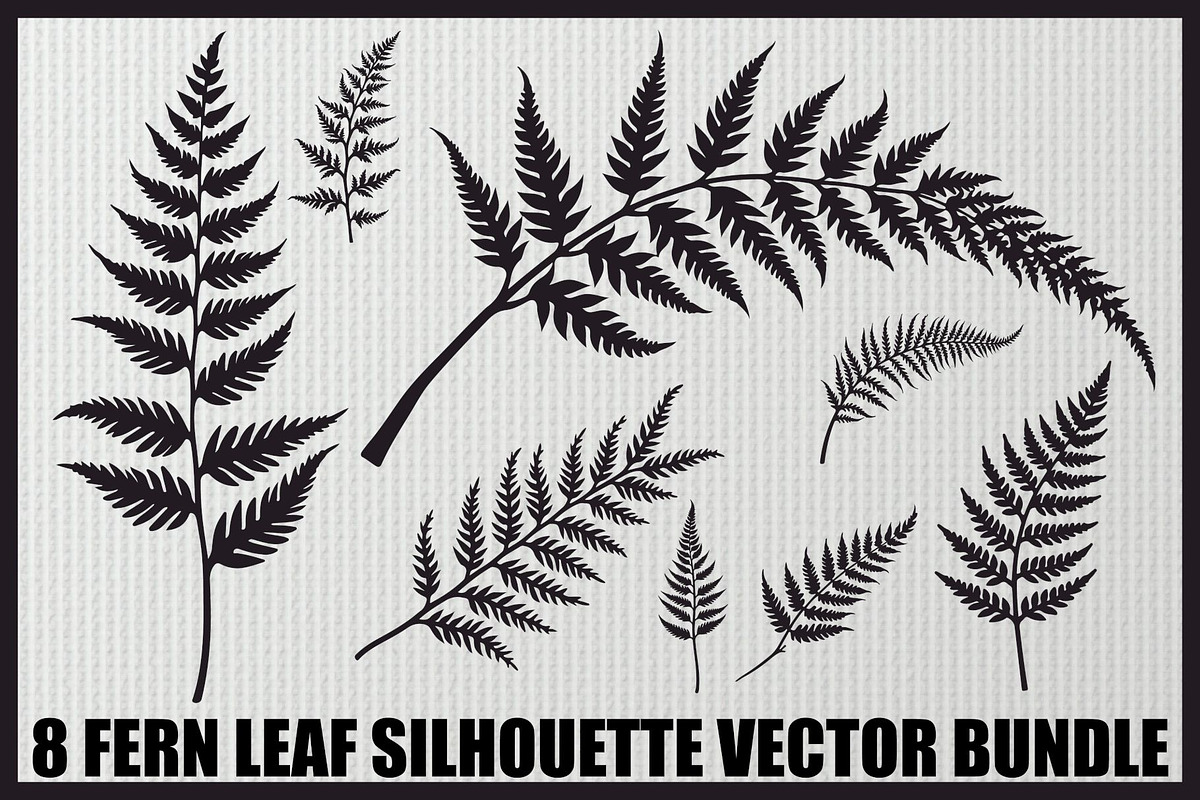 Elegant Fern Leaf Silhouette Bundle, an Illustration by Designs_River (Photo 1 of 9)