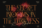 Romane - Elegant Serif, a Serif Font by Burntilldead (Thumbnail 3 of 11)