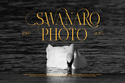 Sugari Luxury Swash Serif Font, a Serif Font by Perfectype (Thumbnail 6 of 8)