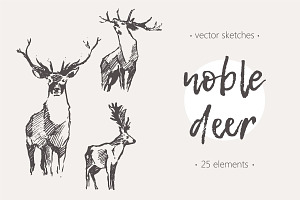 Set Of Sketches Of Noble Deer