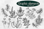 Herbal collection, a Decorative Illustration by sizileon (Thumbnail 6 of 11)
