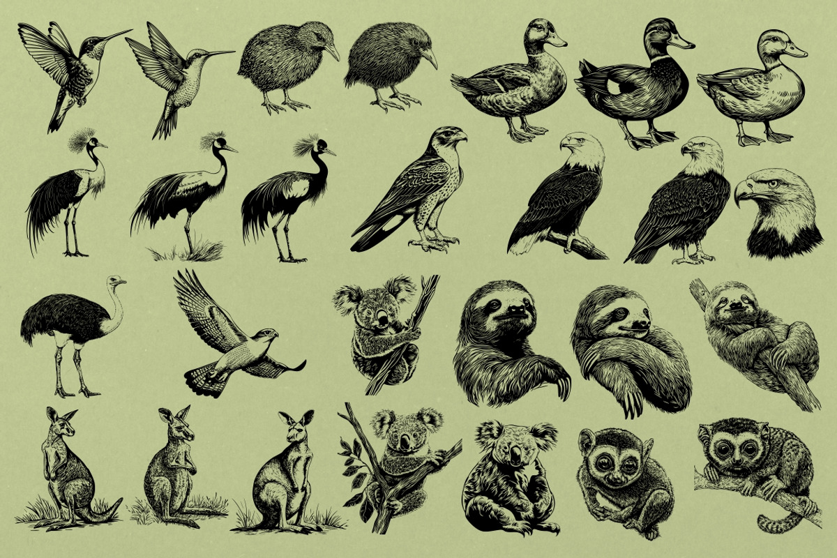 330 ZOO Animals vector illustrations, an Animal Illustration by Nocturnal Wolf (Photo 10 of 18)