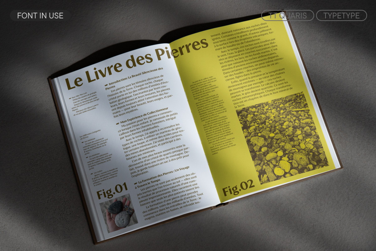 TT Quaris, a Serif Font by TypeType (Photo 9 of 15)