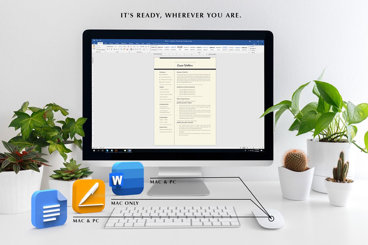 Google Doc Resume Template, CV Word, a Resume Template by Career Canvas (Photo 9 of 11)