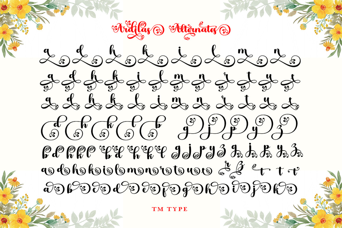 Ardilas, a Script Font by TM Type (Photo 9 of 10)