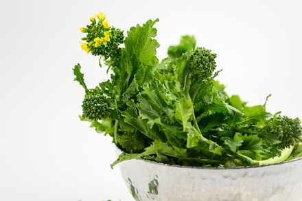 Broccolini, a Photo by Laurie Vengoechea