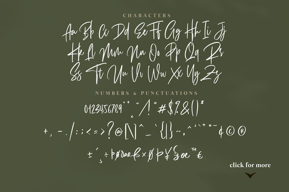 Exposedly - Classy Signature Font, a Script Font by Masanis (Photo 15 of 18)