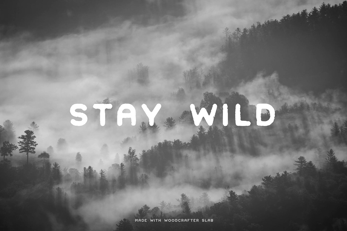 60% OFF Font Bundle - 14 Font Styles, a Slab Serif Font by Greg Nicholls (Photo 9 of 9)