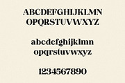 jasmine - elegant soft serif, a Serif Font by Mikhail Fukurou (Thumbnail 10 of 11)