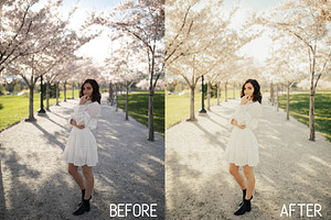 Best Sellers Lightroom Preset Bundle