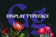 Aeda Rift, a Serif Font by ZP Fonts™ (Thumbnail 3 of 12)