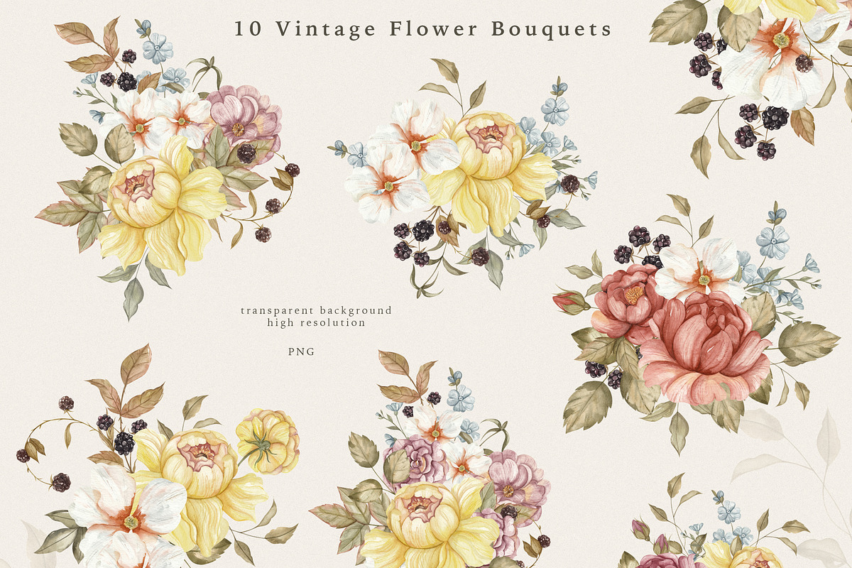 Vintage Forest. Watercolor clipart, an Animal Illustration by Ooh Lily (Photo 6 of 22)
