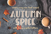 Autumn Spice Display San Serif Font, a Serif Font by On the Mark Designs (Thumbnail 1 of 7)