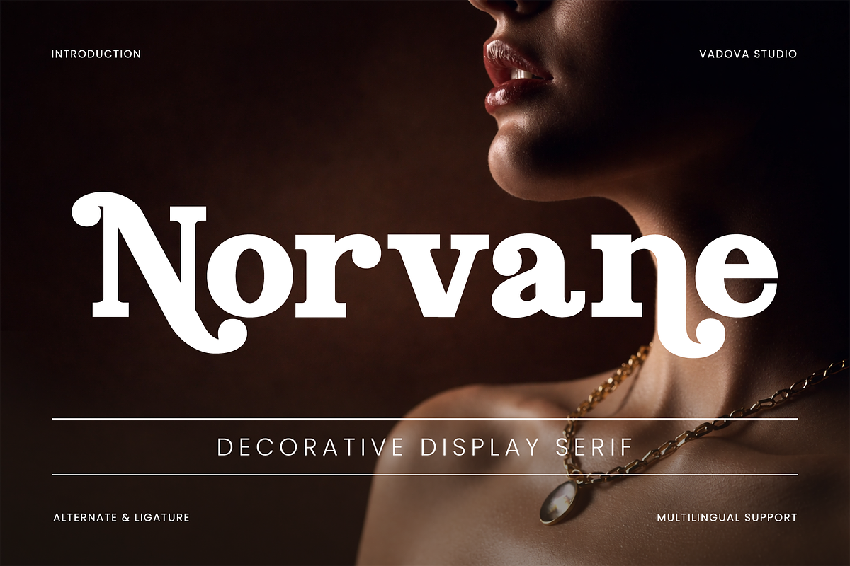 Norvane Decorative Serif Font, a Serif Font by Vadovastd (Photo 1 of 9)