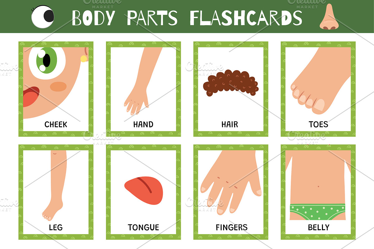 Flashcards for Kids Bundle: 570 in 1, an Education Illustration by Gulnara Sabirova (Photo 37 of 48)