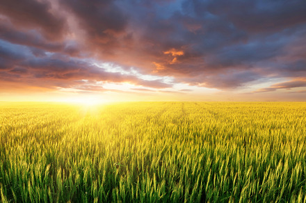 Agricultural landscape featuring agriculture, field, and rural, an Industrial Photo by Landscape and travel