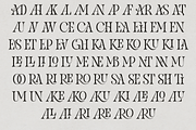 Pakoshe – Serif Font, a Serif Font by NDNL Studio (Thumbnail 8 of 9)