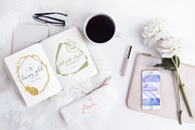 Artistic Logo Branding Toolkit Piva, a Branding & Logo Template by joyologo (Thumbnail 3 of 16)