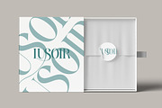 Grandi Ligatura - Modern Luxury, a Serif Font by Qweera Studio (Thumbnail 8 of 12)