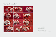 Cherry Blossoms, a Nature Photo by Picturesque Stories (Thumbnail 5 of 5)