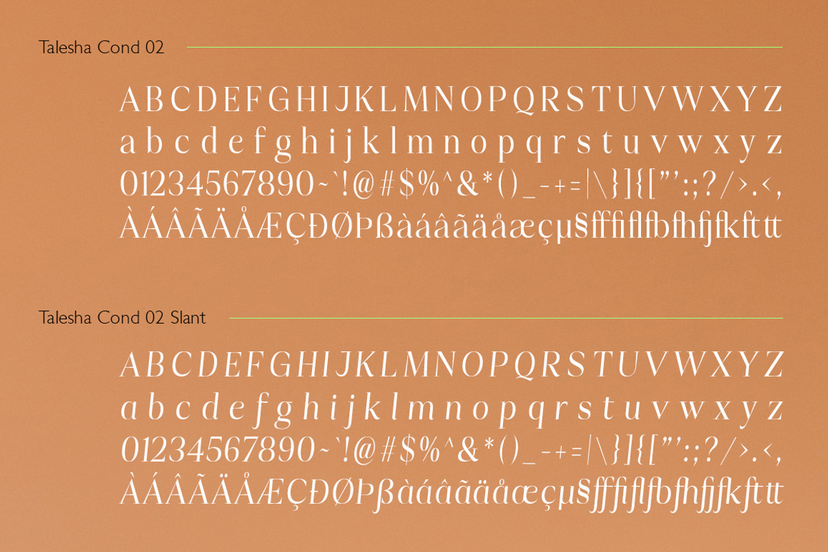 Talesha Font Family, a Serif Font by Seniors (Photo 28 of 30)