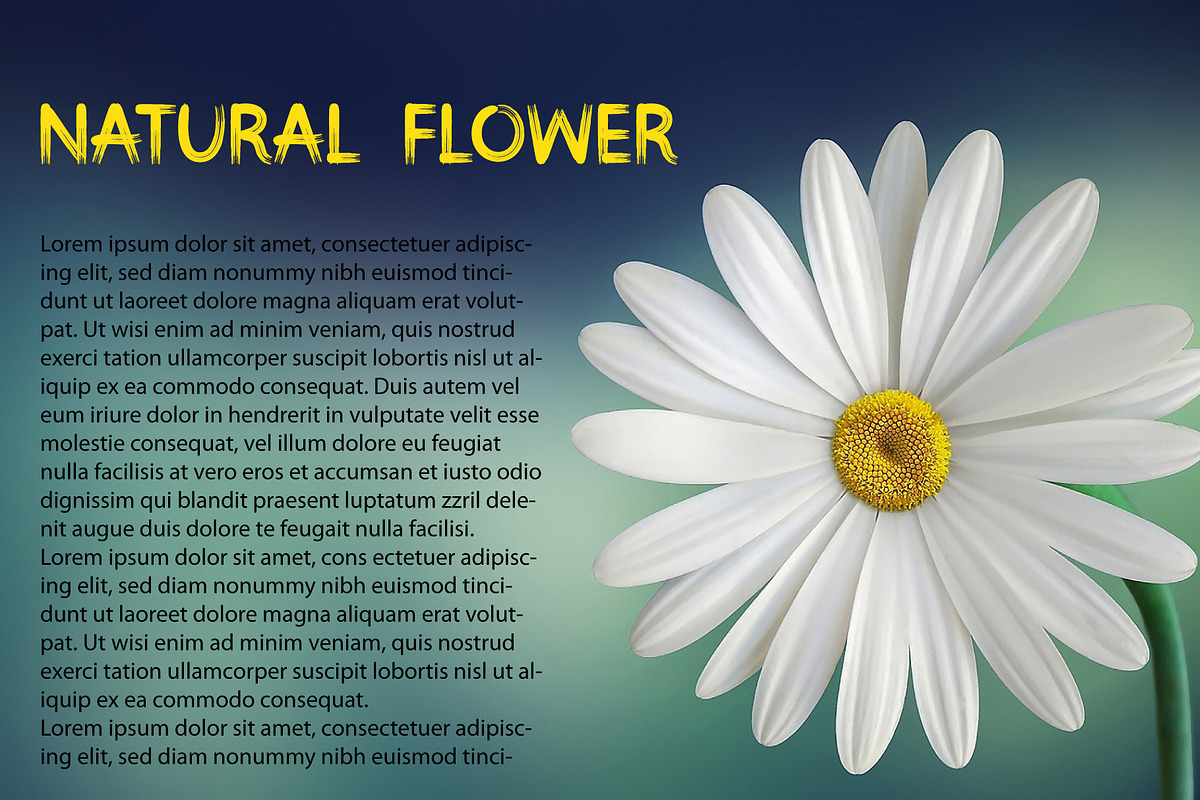 Magic Brush Fonts, a Script Font by Bercreative (Photo 2 of 7)