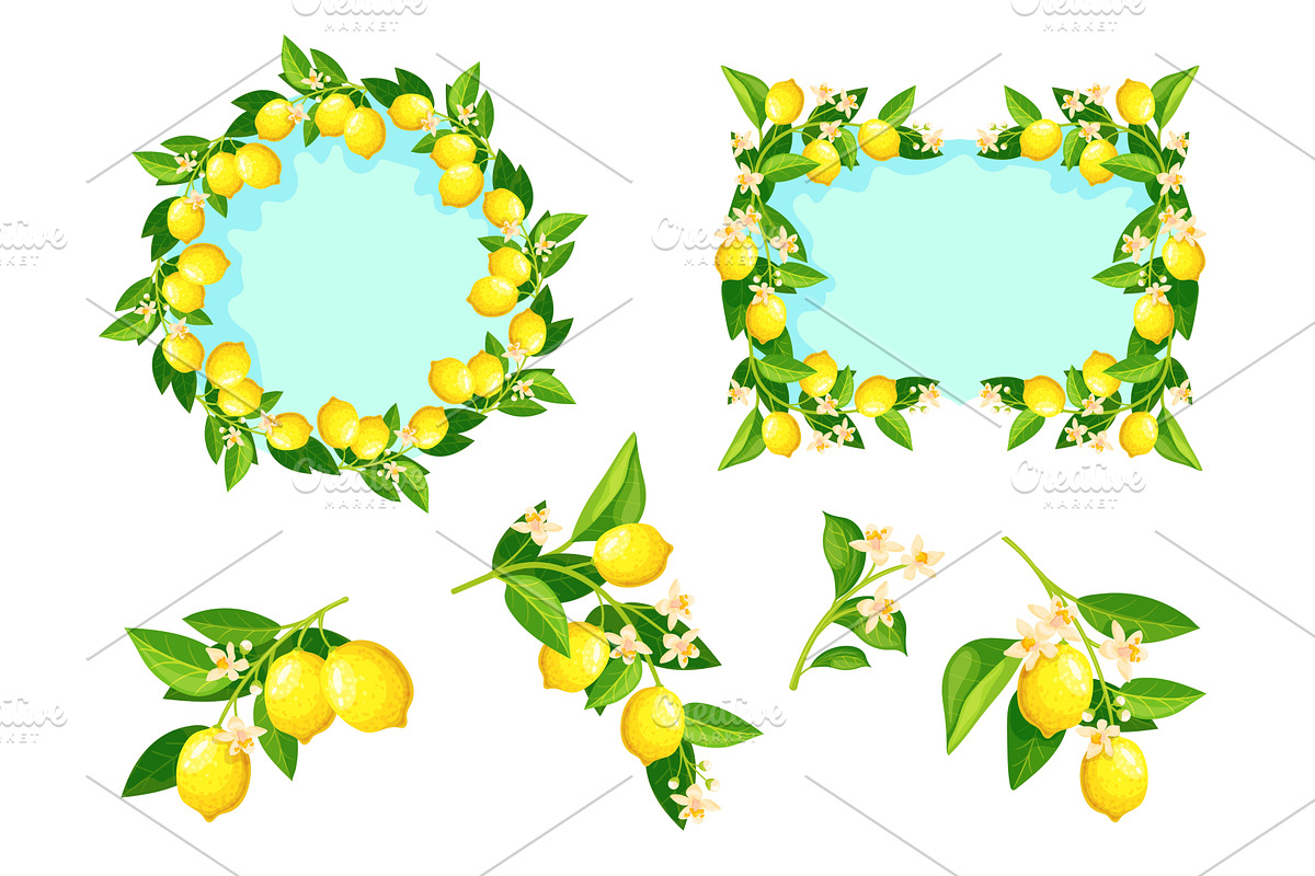 Lemon branches. Citrus flowering, a Food Illustration by Stock-Smart-Start