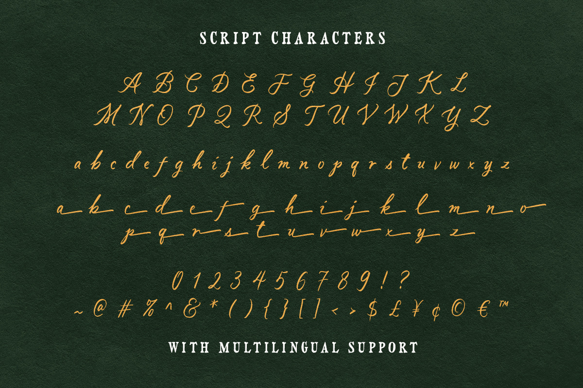 Vintage Market - Nostalgic Font Duo, a Serif Font by Sarid Ezra (Photo 9 of 10)