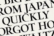 ZT Chablis - Classic serif, a Serif Font by zelow type (Thumbnail 7 of 15)