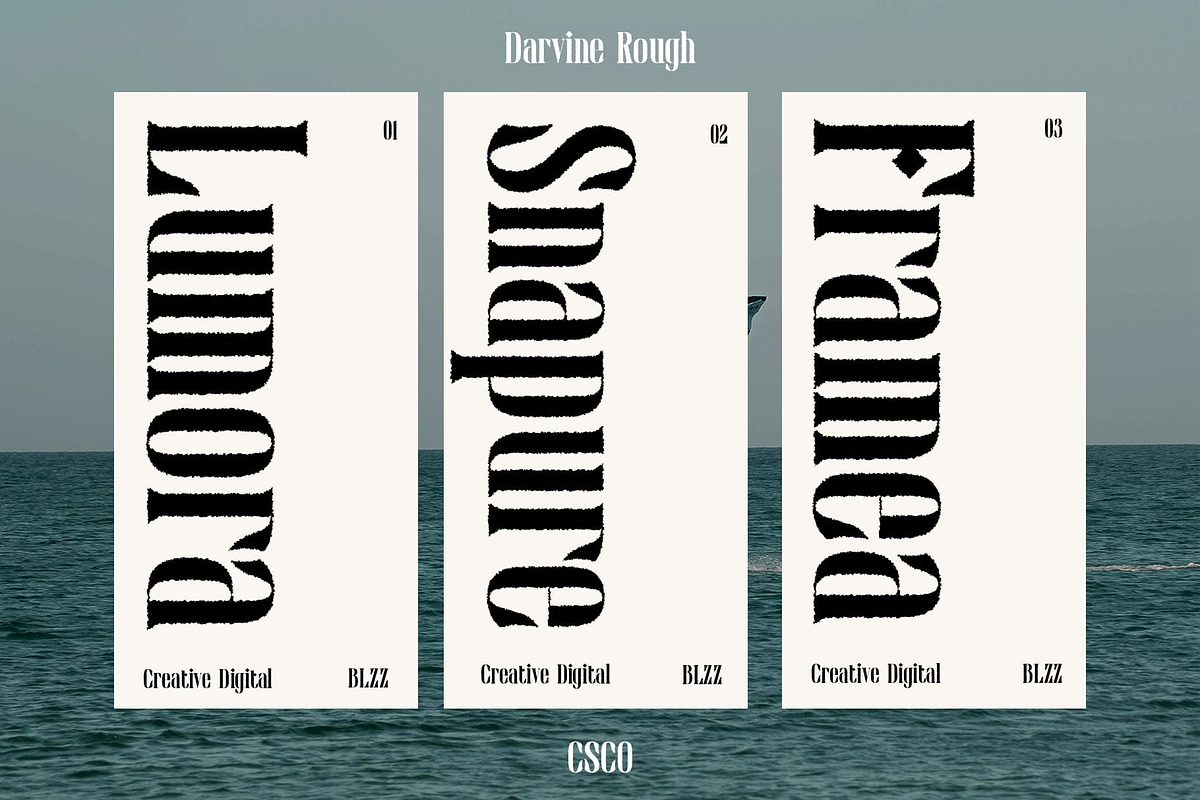 Darvine Rough, a Serif Font by Craft Supply Co. (Photo 6 of 8)