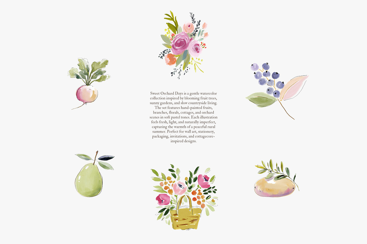orchard watercolor clipart set, a Decorative Illustration by Patishop Art (Photo 5 of 9)
