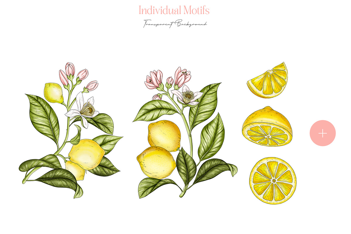 Pink Lemonade Patterns & Motifs, a Pattern Graphic by MenoMelo Studio (Photo 6 of 7)